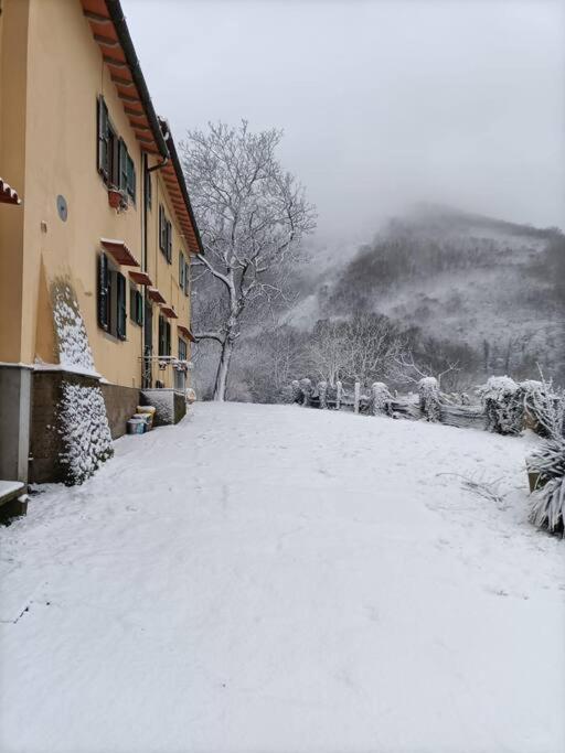 Welcome In Toscana Polcanto Exterior foto